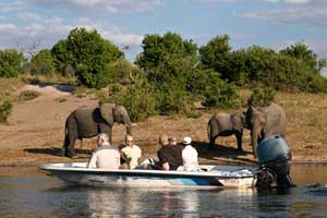 Foto - Safari in Namibia - Simbabwe - Botswana