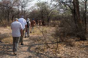 Self-drive - Safari in Namibia - Zimbabwe - Botswana