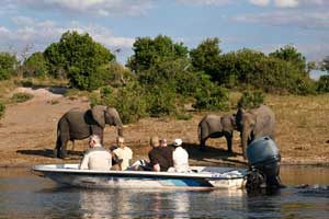 Self-drive - Safari in Namibia - Zimbabwe - Botswana